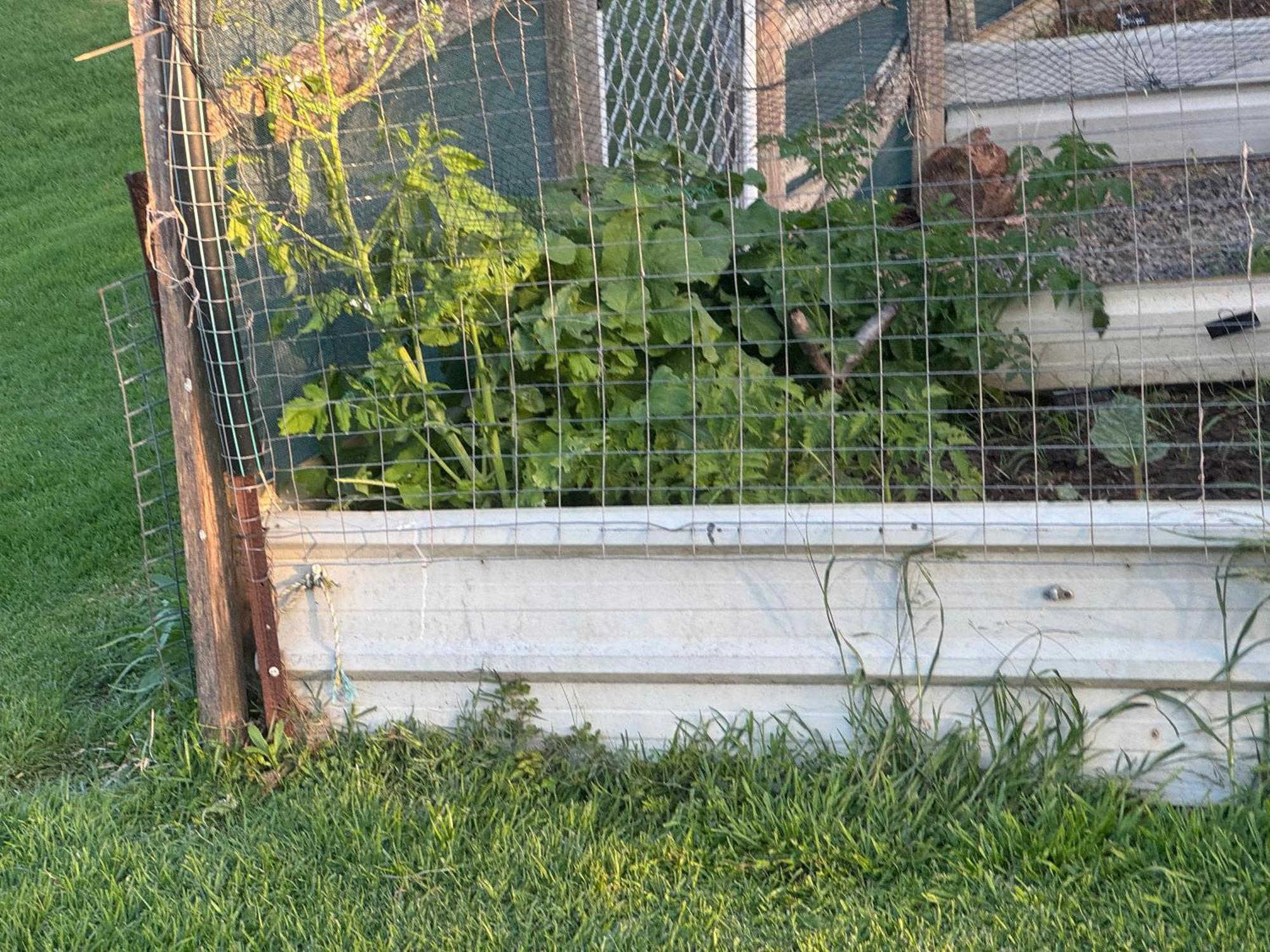 Bird Song Farm Ξενοδοχείο Hat Head Εξωτερικό φωτογραφία